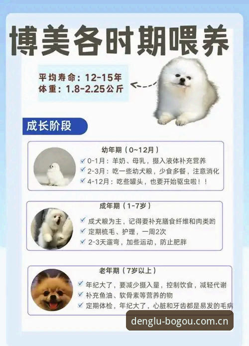 博狗体育官网使用指南：从注册到博狗新版下载的完整操作手册
